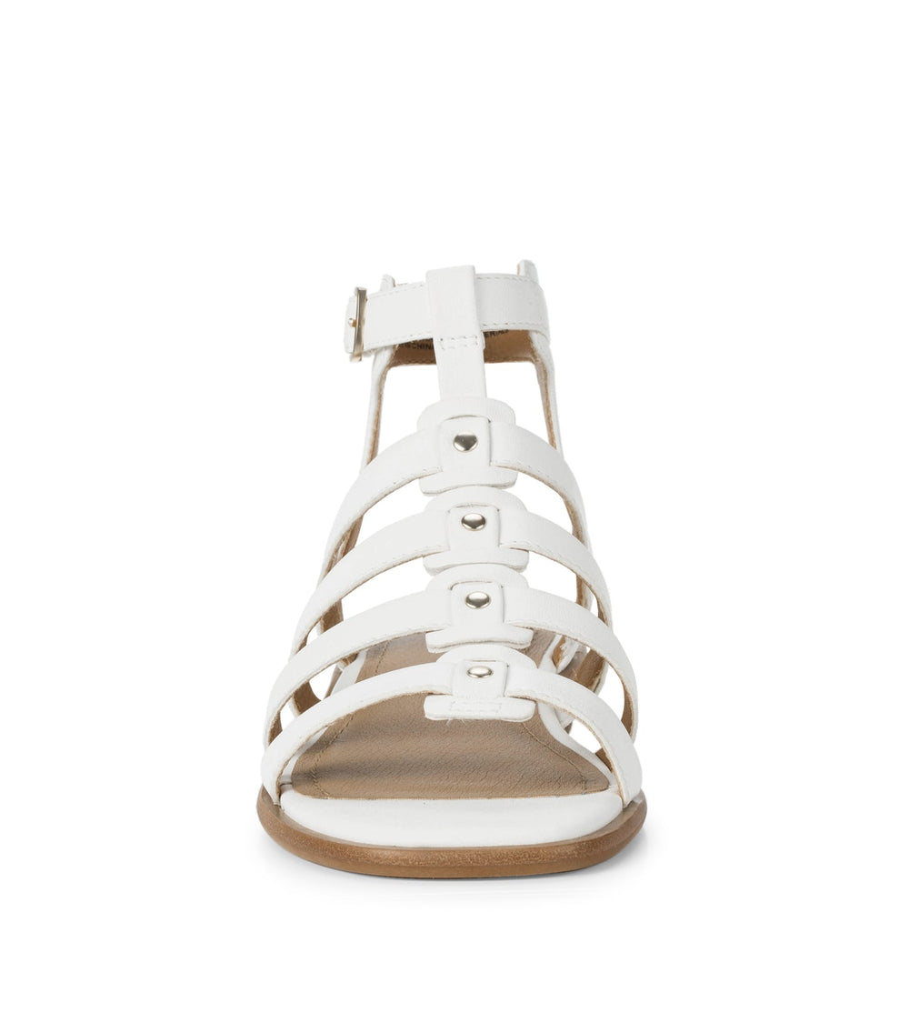 Baretraps Nathalia Gladiator Sandal White Leather