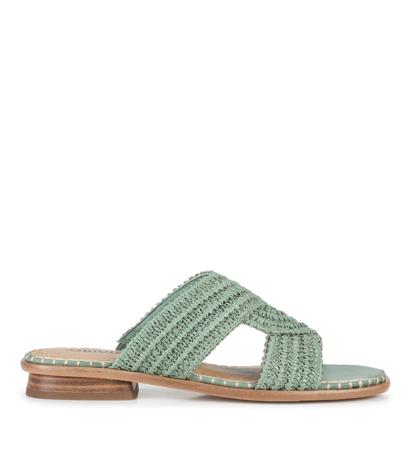 Baretraps Navene Slide Sandal Sage