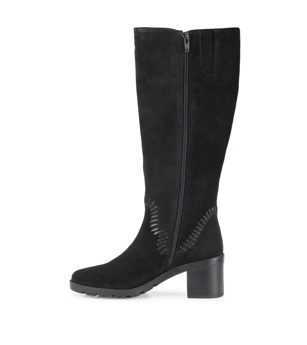 Baretraps Darcie Tall Boot Black Suede