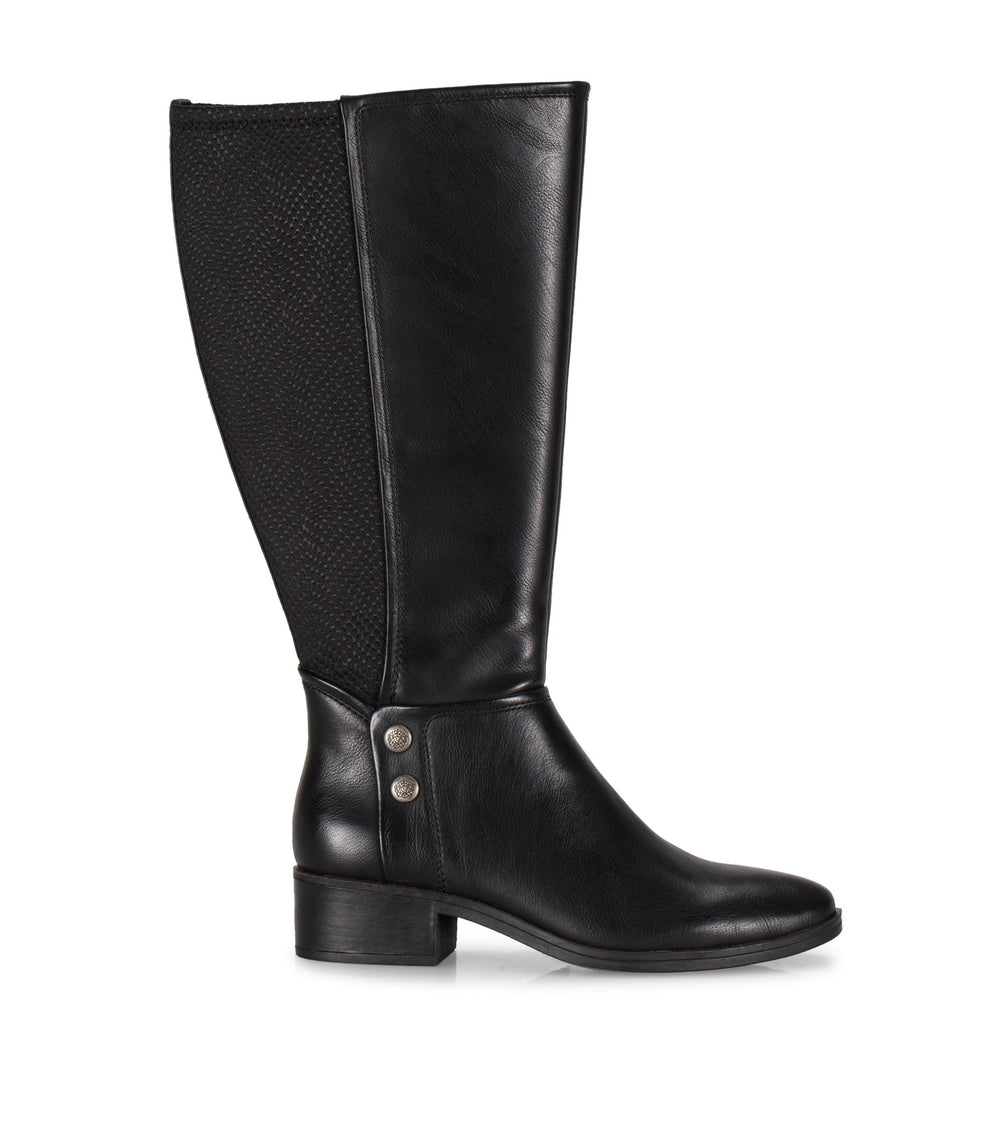 Baretraps Madelyn Tall Boot Black